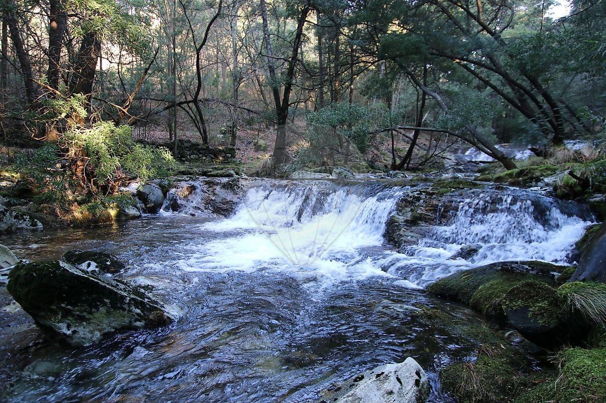 Terreno  para venda
