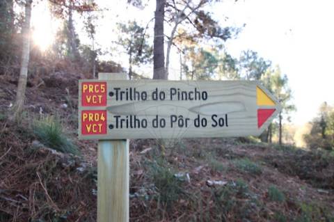 Terreno  para venda