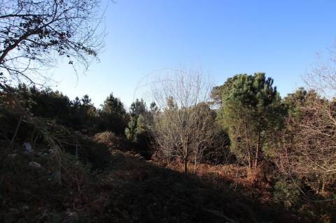 Terreno  para venda