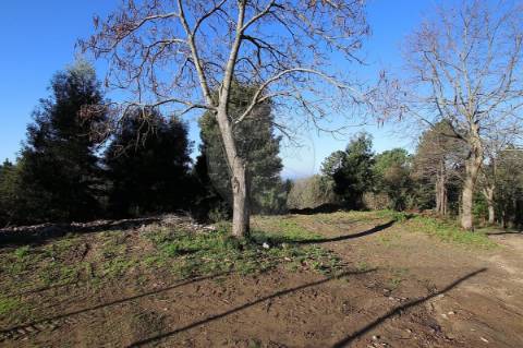 Terreno  para venda