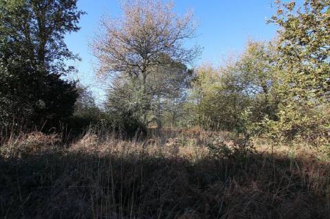 Terreno  para venda