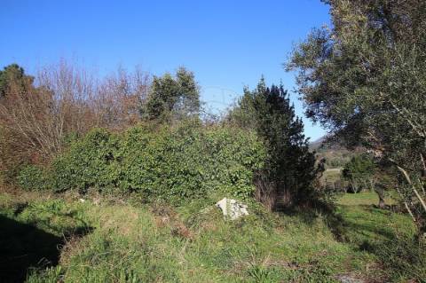 Terreno  para venda