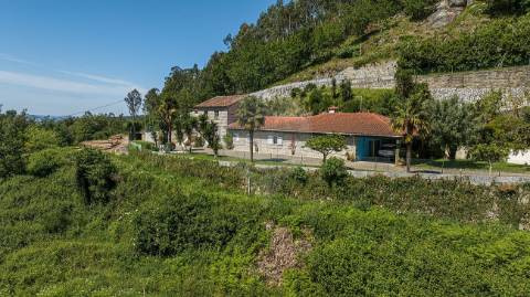 Quinta  para venda