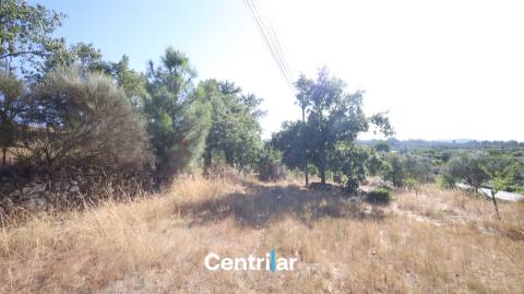 Terreno para Construção com 4459 m2