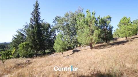 Terreno para Construção com 4459 m2