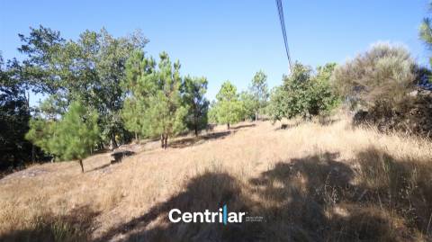 Terreno para Construção com 4459 m2