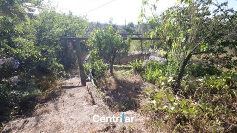 Terreno para Construção com 4459 m2