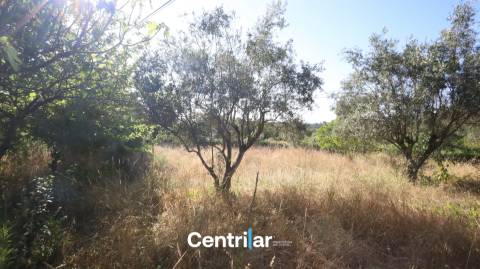 Terreno para Construção com 4459 m2