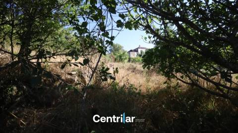 Terreno para Construção com 4459 m2