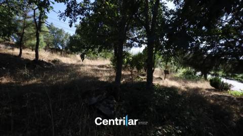 Terreno para Construção com 4459 m2