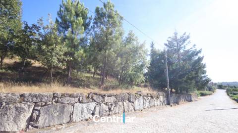 Terreno para Construção com 4459 m2