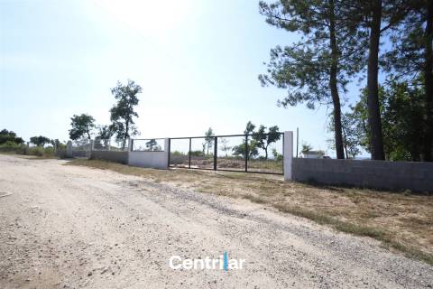 Terreno para construção industrial e 17453 m2