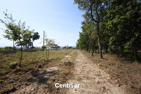 Terreno para construção industrial e 17453 m2