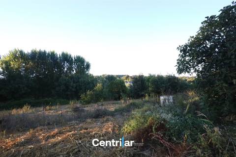 Terreno à Venda em Viseu – Ideal para Loteamento!