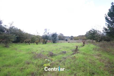 Terreno com 4623m2  para construção com Mangualde