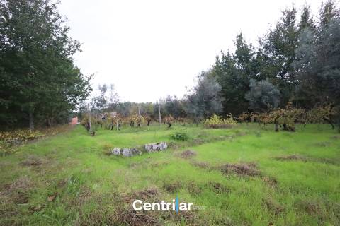 Terreno com 4623m2  para construção com Mangualde