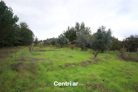 Terreno com 4623m2  para construção com Mangualde