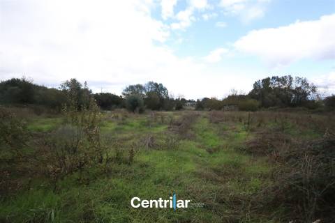 Terreno com 4623m2  para construção com Mangualde