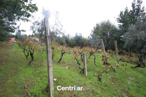 Terreno com 4623m2  para construção com Mangualde