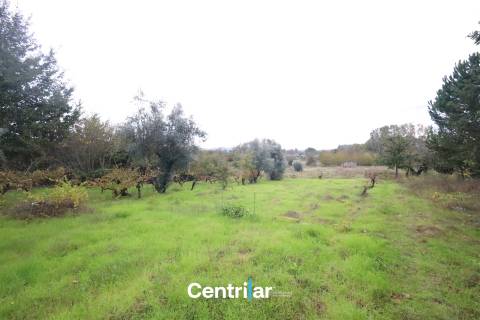 Terreno com 4623m2  para construção com Mangualde