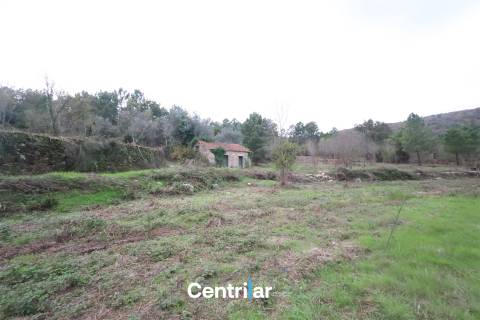 &#127807; Quinta com 7,5 hectares e uma moradia em Fornos de Algodres &#127795;