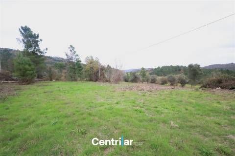 &#127807; Quinta com 7,5 hectares e uma moradia em Fornos de Algodres &#127795;