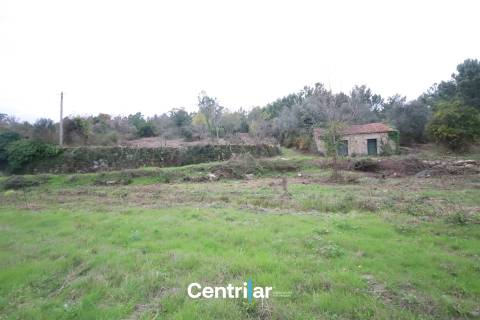 &#127807; Quinta com 7,5 hectares e uma moradia em Fornos de Algodres &#127795;