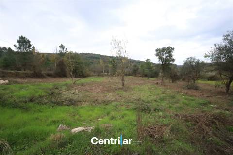 &#127807; Quinta com 7,5 hectares e uma moradia em Fornos de Algodres &#127795;