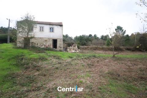 &#127807; Quinta com 7,5 hectares e uma moradia em Fornos de Algodres &#127795;