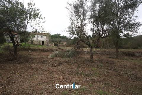 &#127807; Quinta com 7,5 hectares e uma moradia em Fornos de Algodres &#127795;