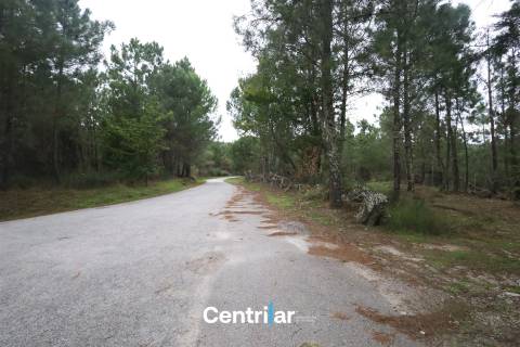 &#127807; Quinta com 7,5 hectares e uma moradia em Fornos de Algodres &#127795;