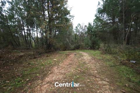 &#127807; Quinta com 7,5 hectares e uma moradia em Fornos de Algodres &#127795;