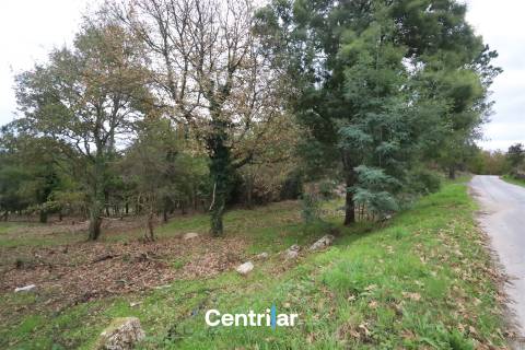 &#127807; Quinta com 7,5 hectares e uma moradia em Fornos de Algodres &#127795;