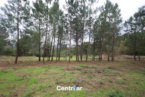 &#127807; Quinta com 7,5 hectares e uma moradia em Fornos de Algodres &#127795;