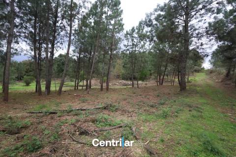 &#127807; Quinta com 7,5 hectares e uma moradia em Fornos de Algodres &#127795;