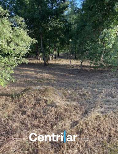 Terreno Misto  Venda em Mangualde, Mesquitela e Cunha Alta,Mangualde