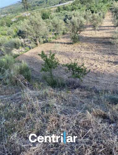 Terreno Misto  Venda em Mangualde, Mesquitela e Cunha Alta,Mangualde