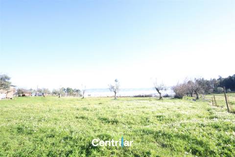 Terreno agrícola de 5 hectares com água e bons acessos