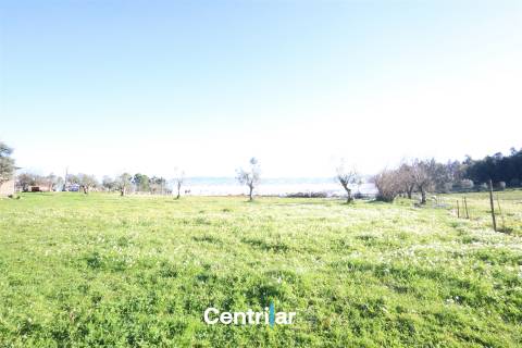 Terreno agrícola de 5 hectares com água e bons acessos
