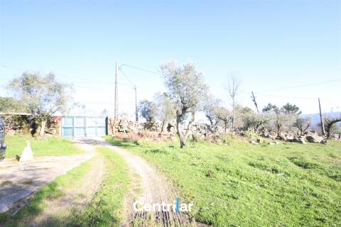 Terreno agrícola de 5 hectares com água e bons acessos