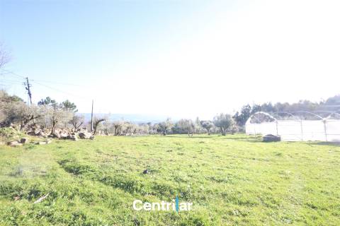 Terreno agrícola de 5 hectares com água e bons acessos