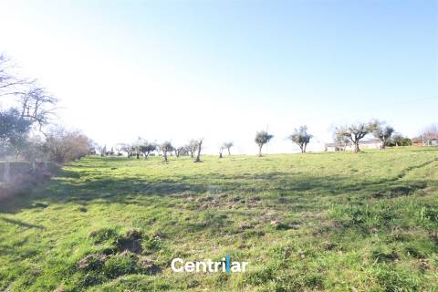 Terreno agrícola de 5 hectares com água e bons acessos