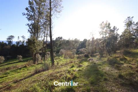 Terreno agrícola de 5 hectares com água e bons acessos