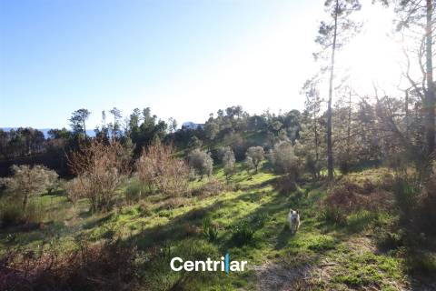 Terreno agrícola de 5 hectares com água e bons acessos