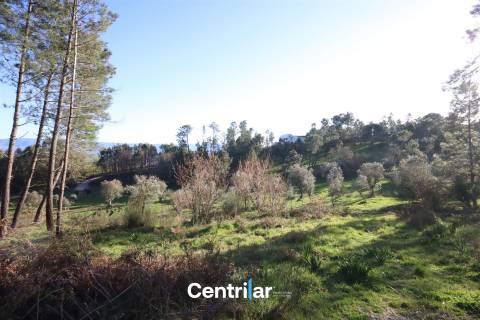 Terreno agrícola de 5 hectares com água e bons acessos