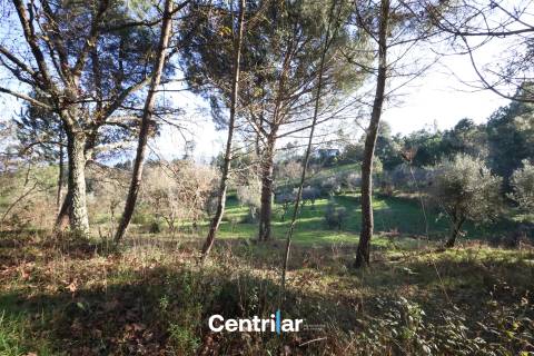 Terreno agrícola de 5 hectares com água e bons acessos