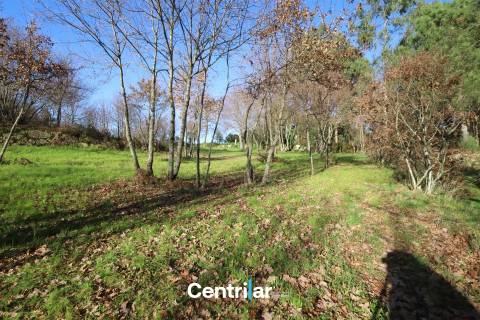 Terreno agrícola de 5 hectares com água e bons acessos