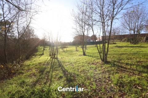 Terreno agrícola de 5 hectares com água e bons acessos