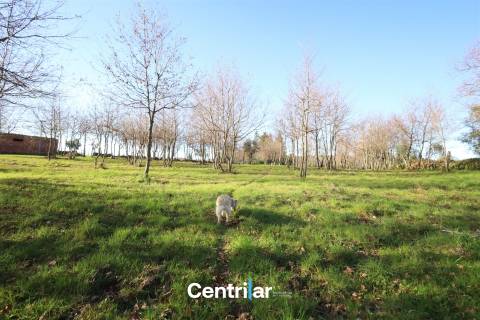 Terreno agrícola de 5 hectares com água e bons acessos