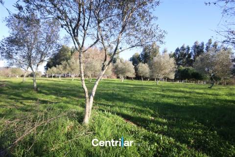 Terreno agrícola de 5 hectares com água e bons acessos